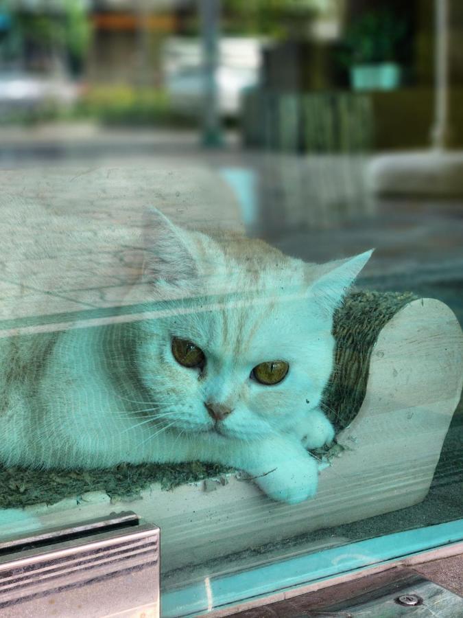 ホテル ダブル D ルームズ＆カフェ バンコク都 エクステリア 写真